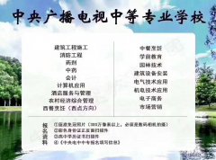 专业咨询