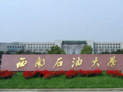 专业咨询