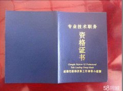 职称代评-高级